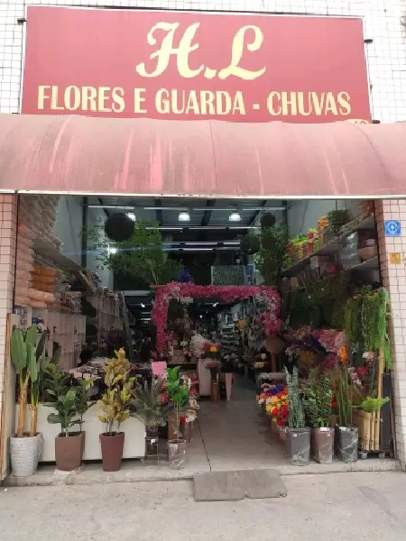 Imagem de Hl Flores E Guarda Chuvas — Casa no Brás, São Paulo