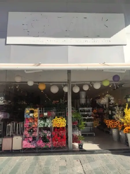 Imagem de Jp Decor Plantas — Outros no Brás, São Paulo
