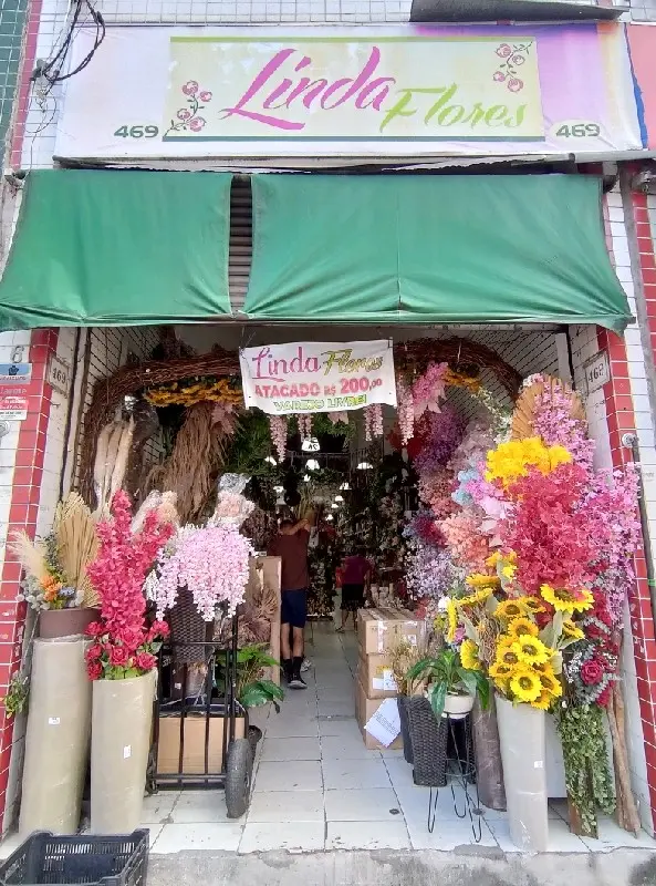 Imagem de Linda Flores — Casa no Brás, São Paulo