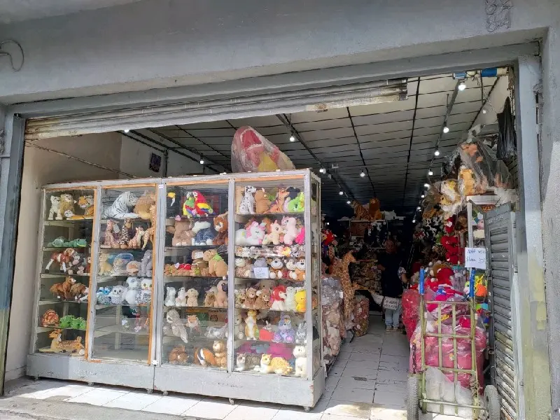 Imagem de Paraíso Das Pelúcias — Utilidades e presentes no Brás