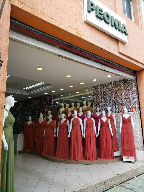 Imagem de Peonia — Moda Festa no Brás