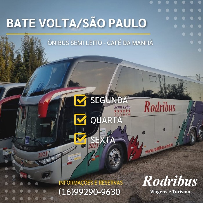 Rodribus